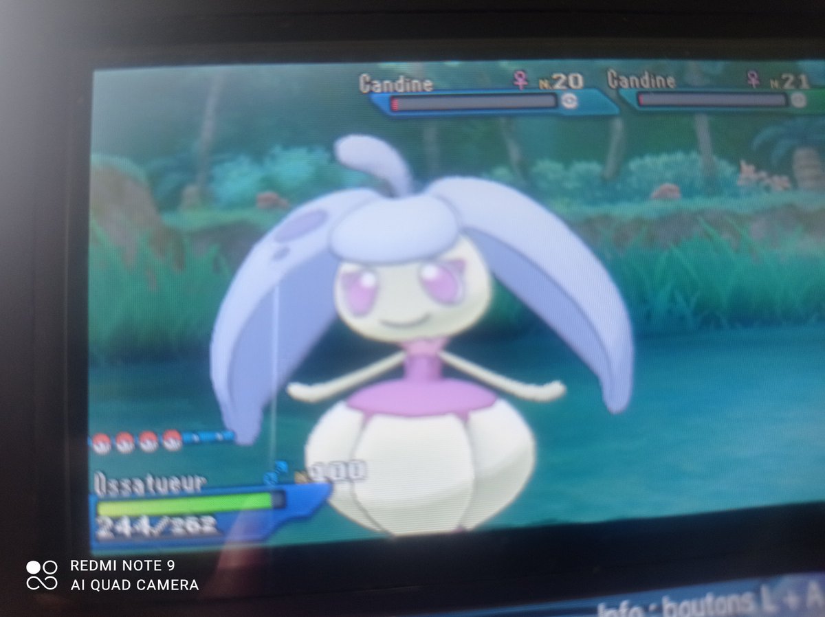 lyc0rne's tweet photo. Candine shiny en S.O.S full odds, j'ai pas compté pour cette shasse mais vu les très longues sessions que j'ai fais dessus j'aurais tendance à dire que j'ai dépassé les 4 096, prochaine étape le ruban champion royal puis direction Pokémon Champions https://t.co/n4MX7xNrRu