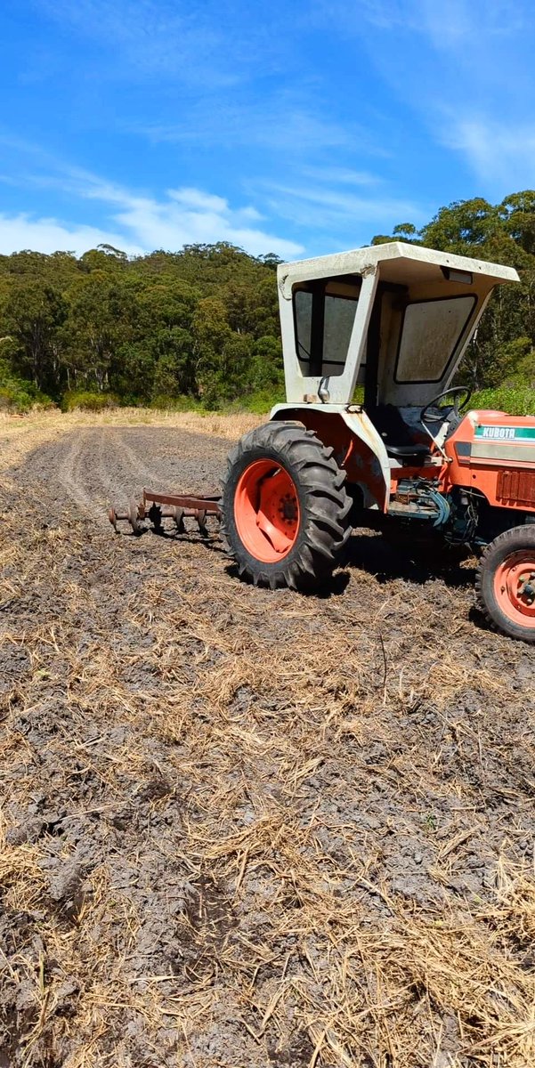 MarkRDuckett's tweet photo. working back to 2022 cultivation... https://t.co/mHvmxDwOot