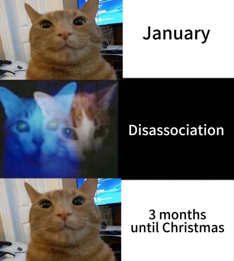 Cats_ooc's tweet photo. https://t.co/CKoFmQQw9I