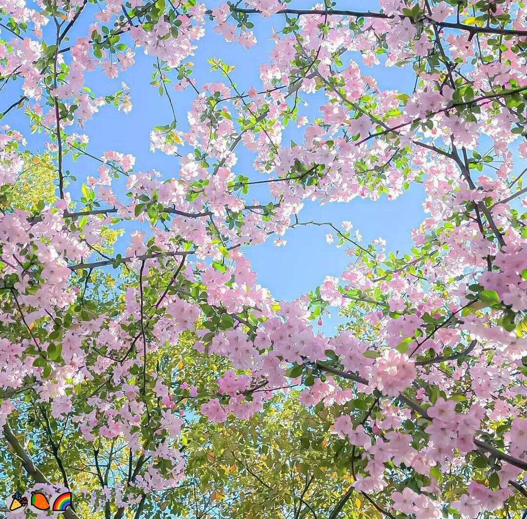 Arda11997021's tweet photo. 💫裸聊💯福利姬✨萝莉💫道具爆菊🌈女陪💝调教💝恋母😋群p👏每日大赛💝女S🤩呻吟🙌丝袜🥳幼女💝磕炮😆连麦🌟大胸👍drip蜡女s🤗mother狗😁约炮🌸陪玩

企鹅裙：1818089
飞机：zuoyi1v1
裸聊/连麦/文爱/调教/寸止 https://t.co/zIVK0gV6x8