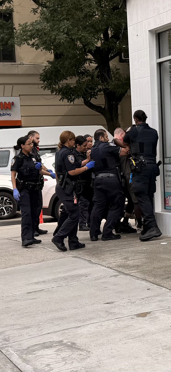 realLisaChang's tweet photo. The NYPD in action! @NYPDPC https://t.co/jGVgjADS11