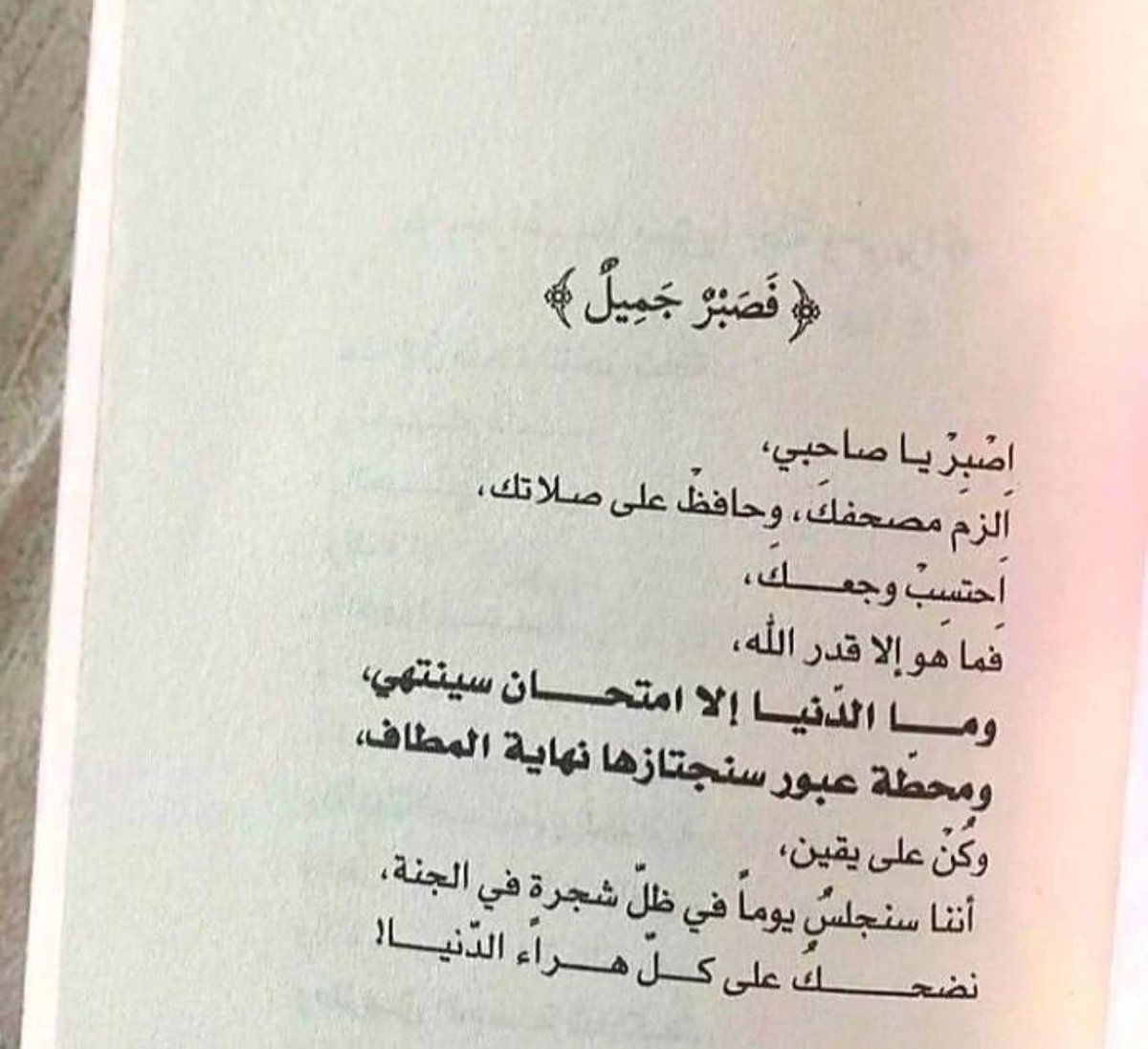 adhamsharkawi tweet picture