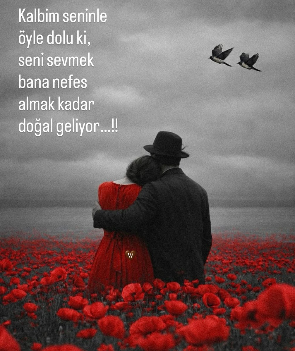 Banabinot's tweet photo. Kalbim Seninle🤎 https://t.co/gqL3teJFnX
