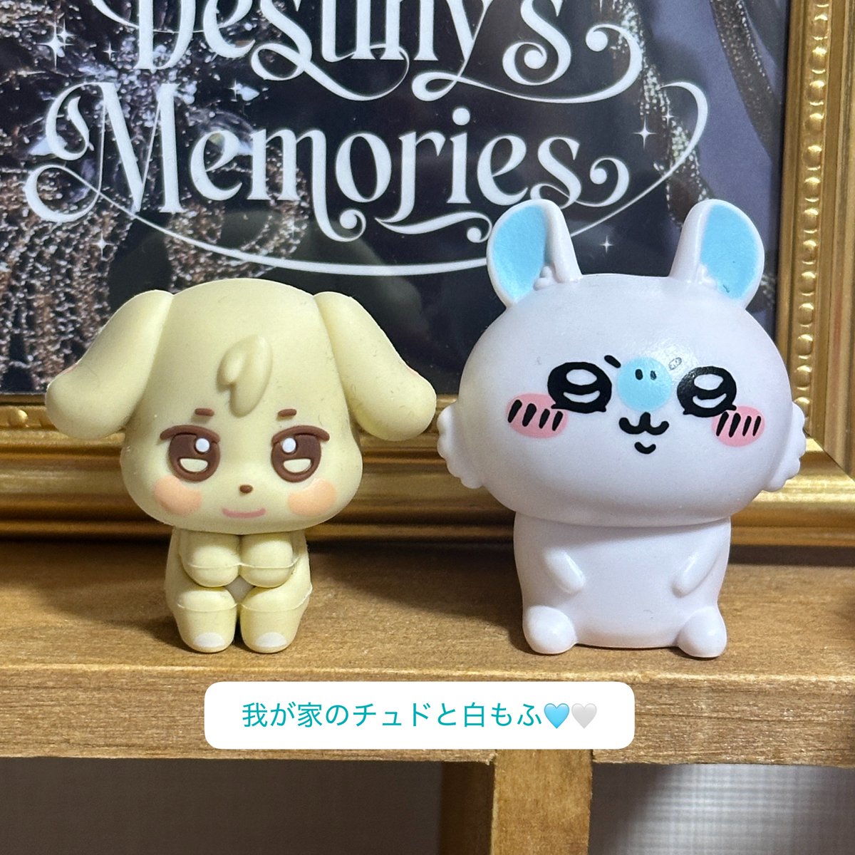 YUNOchi_m's tweet photo. ちいかわ知識0で映画見て白いもふもふがワル可愛くて白もふのグッズが欲しくてお店行ったけどランダムばかりで引く自信がないから白もふ柄のクレジットカードをその場で契約した話しましたっけ？ https://t.co/aXK66QbQsN