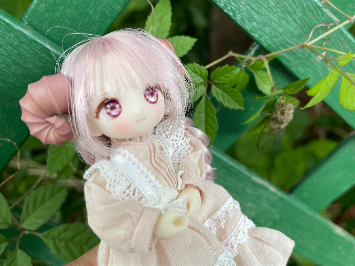 ginsahariko's tweet photo. ヒツジのネムちゃんが届きました葉っぱに蝉発見、逃げないので撮影成功。でもわかりづらい仕上がり。
#うちの子かわいい
#花と妖精に癒されたい https://t.co/JLnyXSx2yV