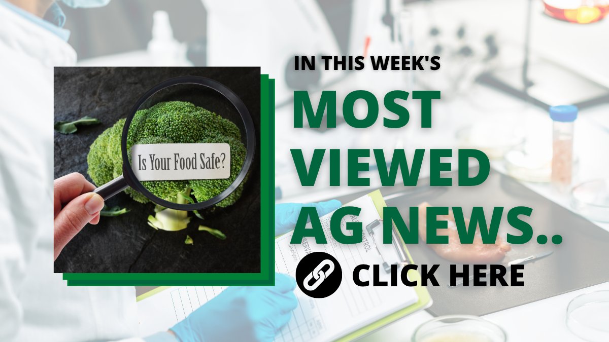 OntAg's tweet photo. On this week's #MostViewedAgNews: Food safety risks...

The Canadian Meat Council (CMC) has expressed concerns about proposed changes to Canada's food safety regulations.

The concerns and the call for a national food safety standard ⏬
https://t.co/R3MJqvZsep https://t.co/FgIfje6HEd