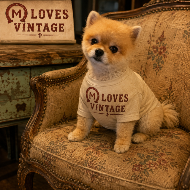 mlovesvintage1's tweet photo. Everyone say hi to Sir Bear. #pomeranian #vintage #Vintagefurniture #vintageclothing #doglover https://t.co/gXIbubtUBQ