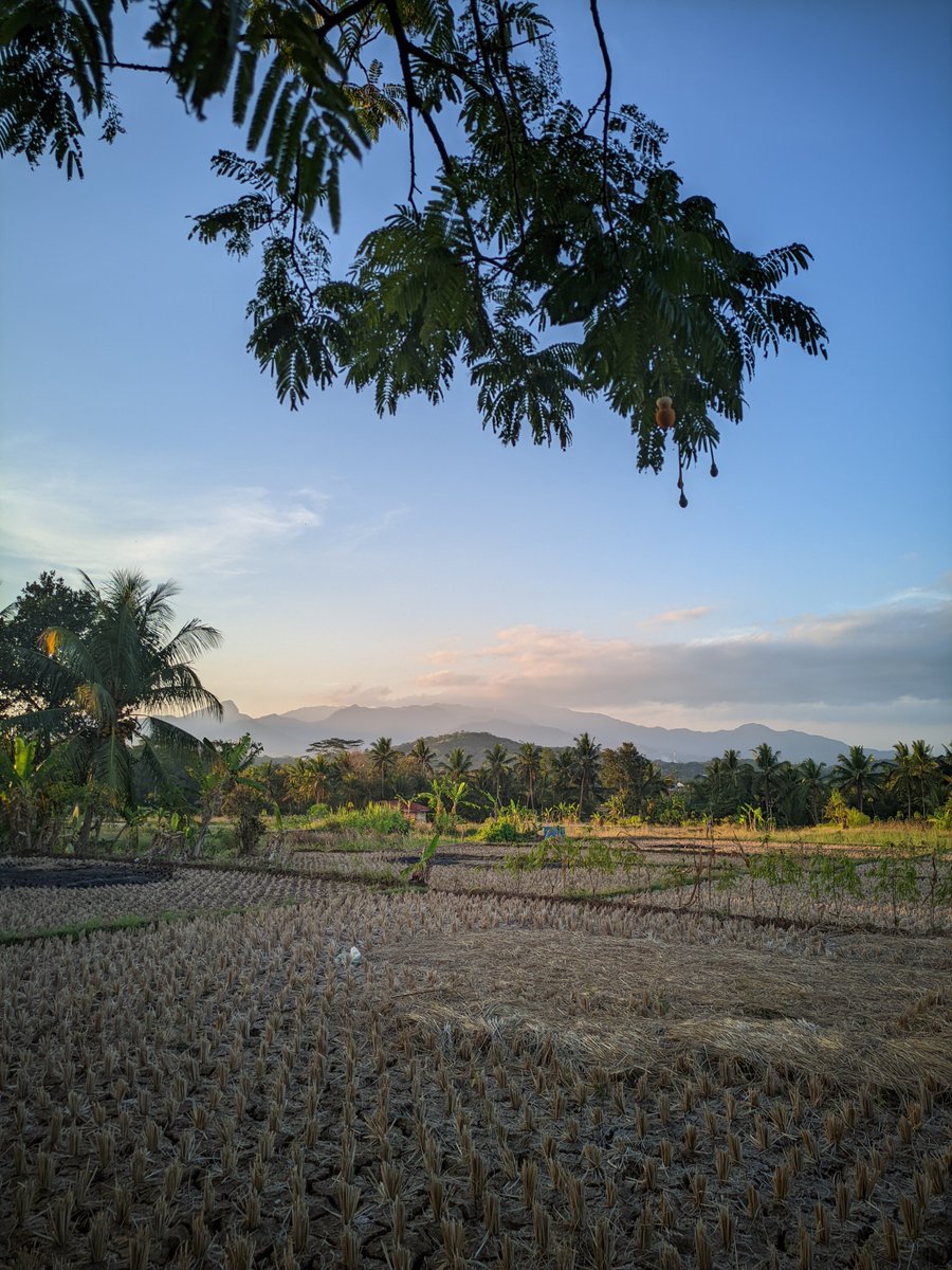 Ishak_frd's tweet photo. 🌾 Di antara sawah, kelapa, dan pegunungan, tersimpan pemandangan senja yang menenangkan. 🌅
“Menikmati senja, mensyukuri sederhana.” ❤️ https://t.co/x7wG0T9uLA