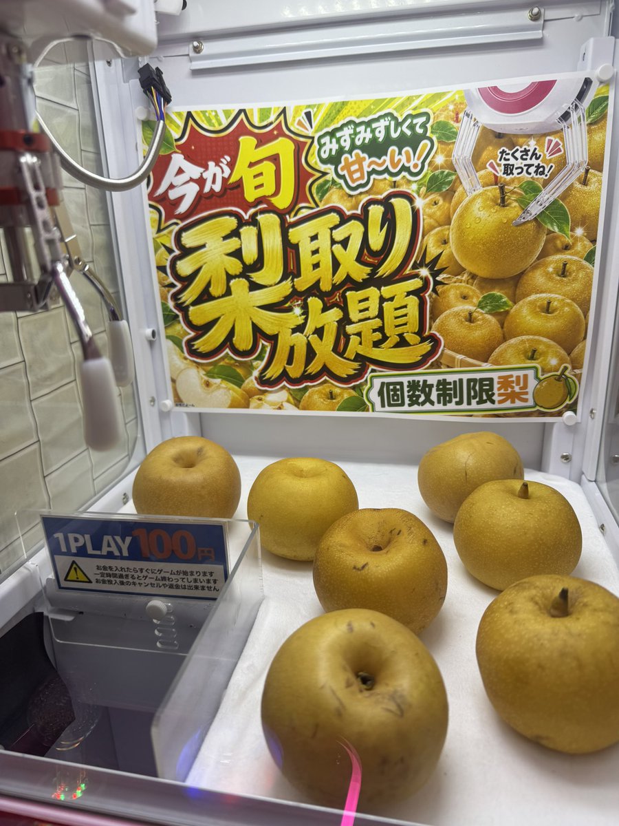 sanochan2000's tweet photo. おいしそぉぉぉぉぉぉぉ！！！！！！！

梨だけに個数制限なしってwww https://t.co/ZKfvilXH4B