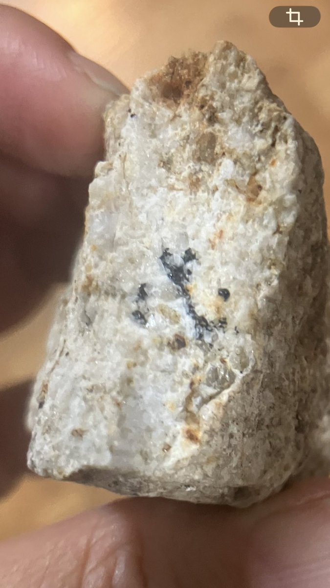 klarinkiku's tweet photo. 割って断面から鉱物を探す。
黒い部分は電気石っぽい？！

最終的に標本箱に収めて自由研究終了。

シラスも入りました✨

1年生は採集縛りと急に連絡あり、初めましての岩石採集、全く未知の分野だったけど

終わってみたら、とても面白い内容で、たくさんの思い出と旅のお土産付きで大変よかった🫶 https://t.co/NZyYKoUi91