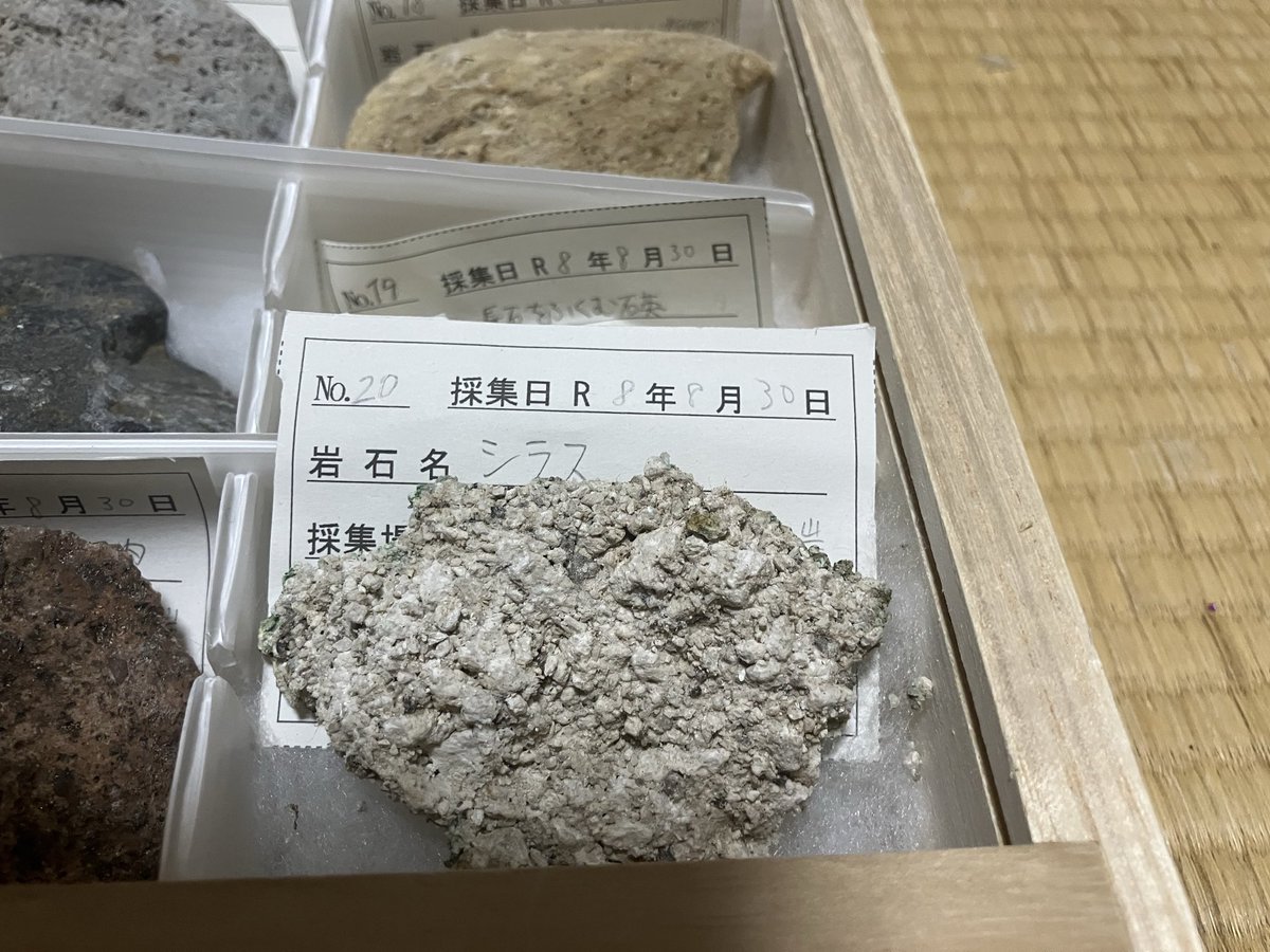 klarinkiku's tweet photo. 割って断面から鉱物を探す。
黒い部分は電気石っぽい？！

最終的に標本箱に収めて自由研究終了。

シラスも入りました✨

1年生は採集縛りと急に連絡あり、初めましての岩石採集、全く未知の分野だったけど

終わってみたら、とても面白い内容で、たくさんの思い出と旅のお土産付きで大変よかった🫶 https://t.co/NZyYKoUi91