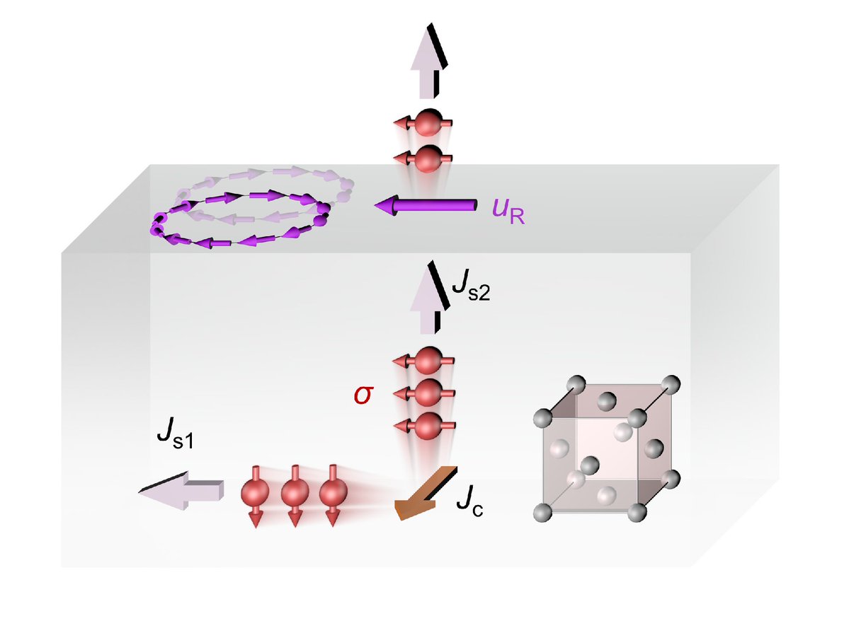 PhysRevX's tweet photo. New research bridges a persistent gap in spintronics by demonstrating a spin-orbit filtering mechanism for unconventional spin current generation and efficient, field-free switching through crystal symmetry engineering.

Read more: https://t.co/10gPsU8ED3 https://t.co/c945wXqQg6
