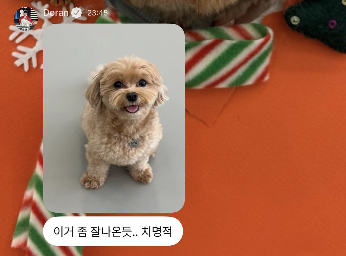 ppparan22's tweet photo. 이분 저번부터 모닝공주님한테 성숙미있다 그러더니 오늘은 치명적이래
ㄴ그치만 ㄴㅁㄴㅁ치명적이야 공주님ㅜㅜ https://t.co/WGQd7LkWat