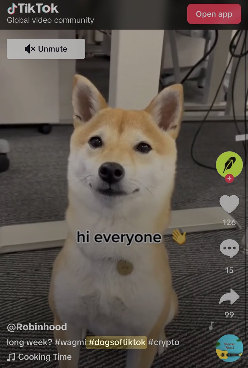athfrodo8's tweet photo. @RobinhoodApp This is @vladtenev dog.
Appeared multiple times on @RobinhoodApp back in 2022 and also on their TikTok.
The real RH office DOG. 
For proof check https://t.co/8pnvZd94il

See you at 1B. @KitsuRobinhood 

Bookmark this. https://t.co/z4bQ1C2Ek4