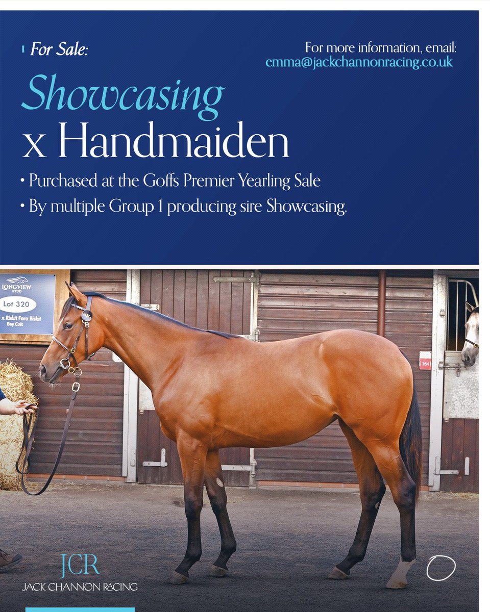 ChannonRacing's tweet photo. 3 exciting ownership opportunities from the Goffs Premier Yearling Sale:

🏇 Showcasing x Handmaiden
🏇 Bungle Inthejungle x Mila’s Pride
🏇 Good Guess x Pretty Rebel, purchased with @MprUpdates 

For more information, please email emma@jackchannonracing.co.uk.

#JCR https://t.co/mYAji2lR7f