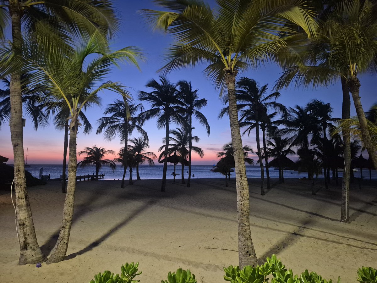 thegreekrams's tweet photo. Magnificent Aruba! 🍺 https://t.co/pPpRXh0PB3