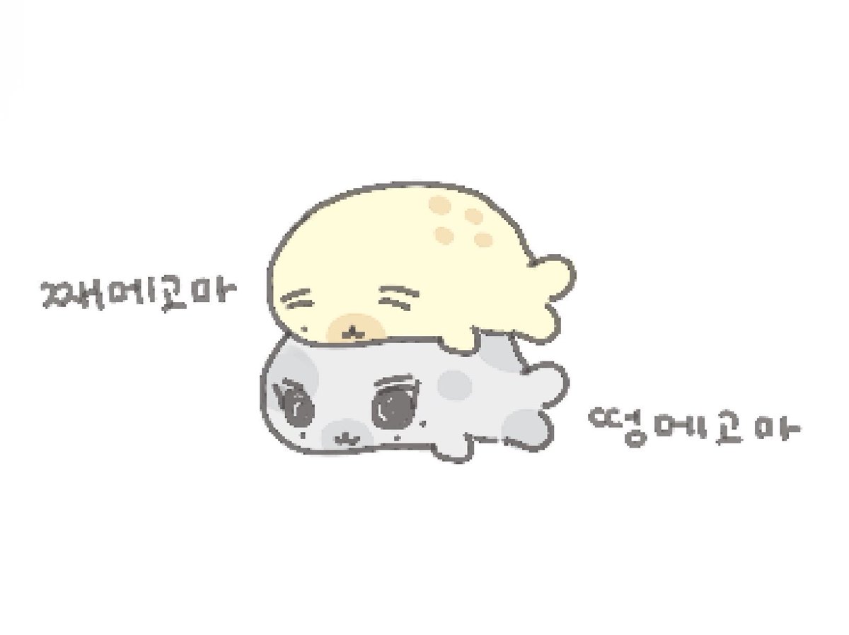 _shnynggS2's tweet photo. 민녛    고마🎶🦭 https://t.co/v3PGFNcVrU
