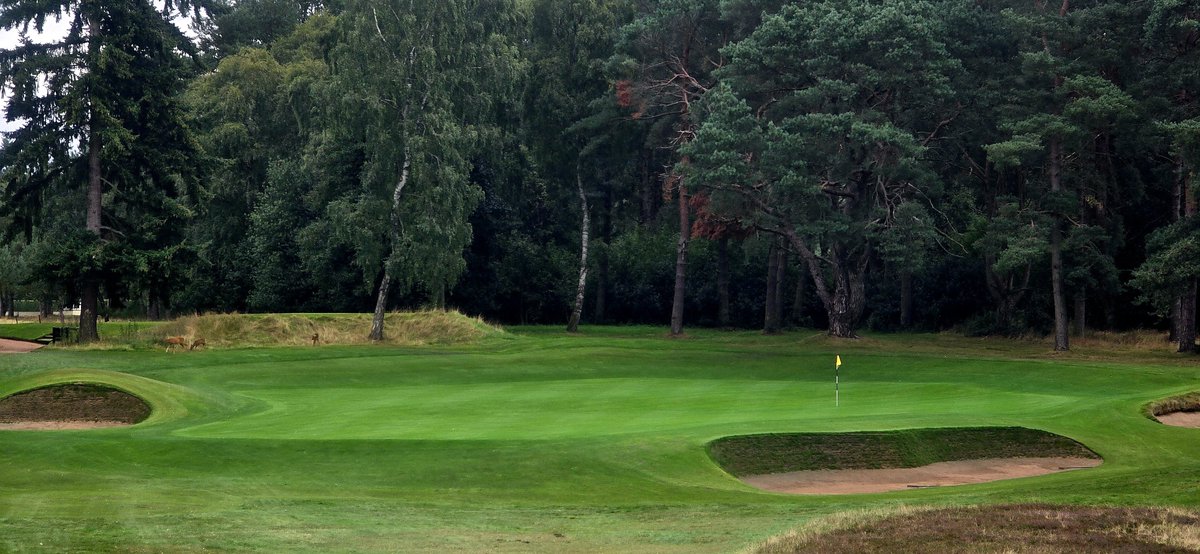 Quietbiglad's tweet photo. What a lovely course/place @BlairgowrieGC Incredibly welcoming staff, lovely bacon rolls prior to heading out. The Rosemount was in fantastic condition,greens hand cut and perfect, absolutely no excuses. Looking forward to returning, exceptional. #GolfinScotland #MartiniTee https://t.co/7cxg0sN8AX