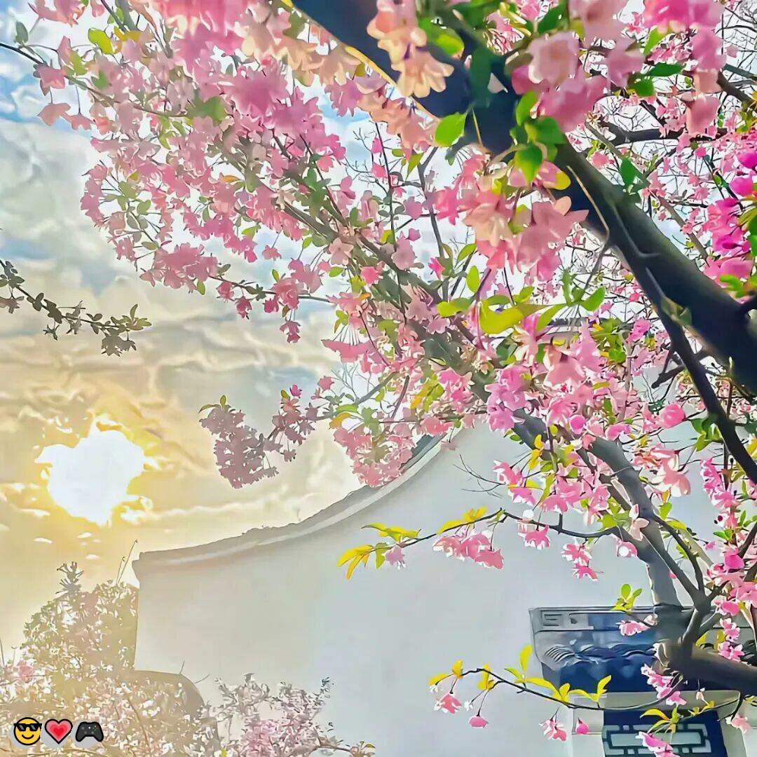 dera075's tweet photo. 🌟问答🎉粗口😍母狗😋母畜✨男M💕护士🎉校园😍捆绑💝捆狗奴❤️瑜伽裤🍀舔穴🥰语音做爱🎊色色💕黑丝💖鸡巴套子🌸油光丝💫阿黑颜💕女王💝换妻😆3P

企鹅裙：1818089
飞机：zuoyi1v1
裸聊/连麦/文爱/调教/寸止 https://t.co/b2vdMaAHqA