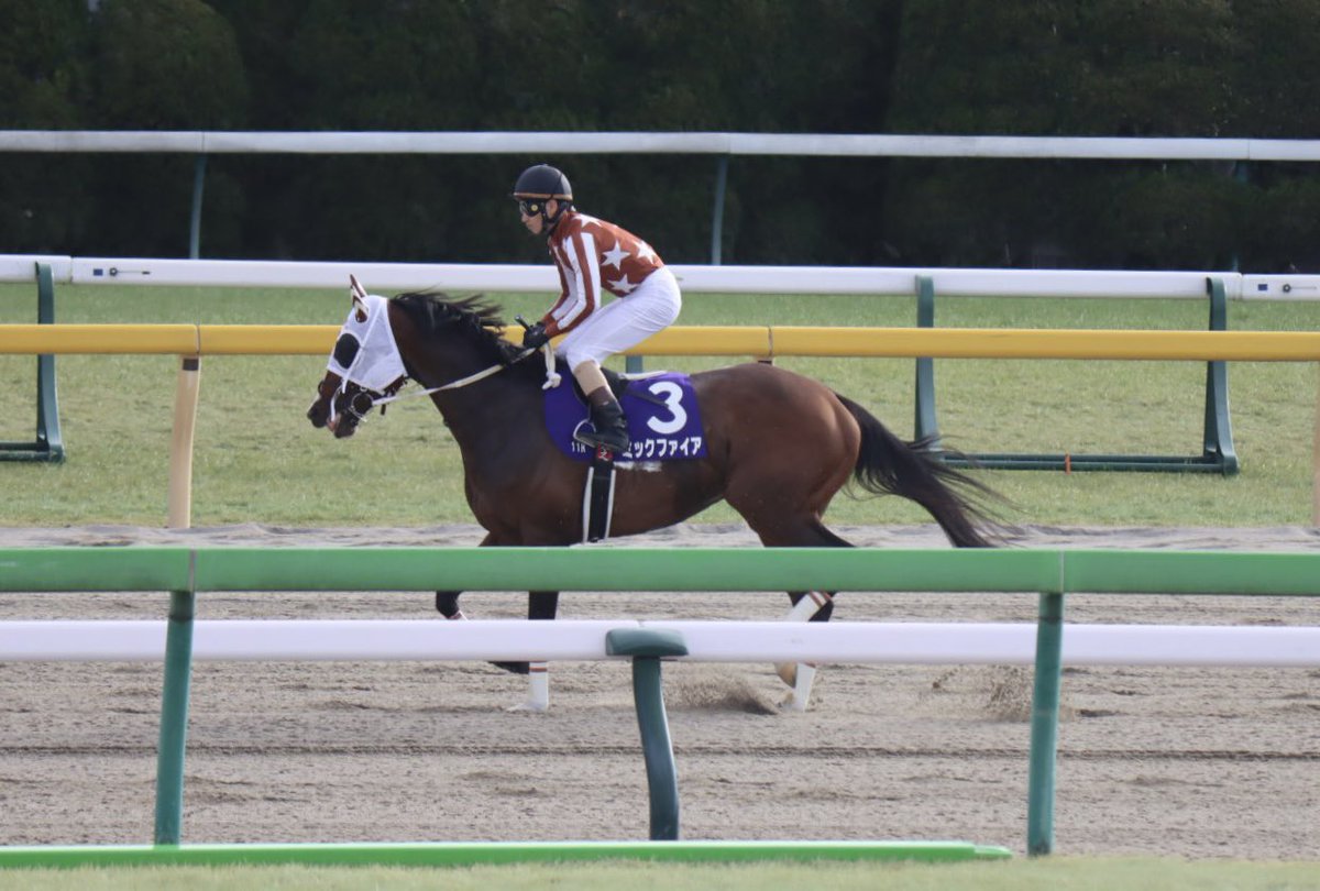 spapan1231's tweet photo. ミックファイアの引退が決まりましたか・・・

南関クラシック最終年に三冠馬が出るという奇跡。

JDDで鳴り止まない御神本コールを現地で感じることができたのは自慢です。

ホントにお疲れ様でした。 https://t.co/5FoNBO7NjM