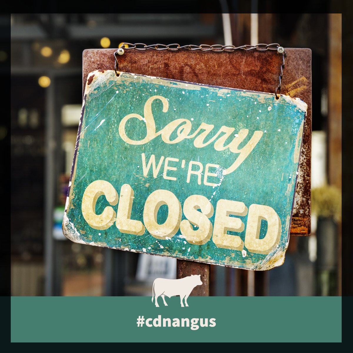 cdnangus's tweet photo. A reminder that our #cdnangus office will be closed at noon on Friday, Sept 4 for the long weekend and will reopen Tuesday, Sept 8. https://t.co/CNvSyf1HkP