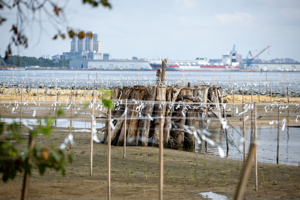 BrookeELierman's tweet photo. As Comptroller, I help approve investments in Maryland’s waterways and shoreline. Yesterday, the Board of Public Works approved $9M for land conservation across four counties.

From the harbor to the wetlands, Maryland's waterfront is becoming greener and healthier. https://t.co/X0LZ7HBHLB