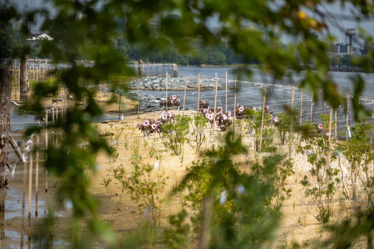 BrookeELierman's tweet photo. As Comptroller, I help approve investments in Maryland’s waterways and shoreline. Yesterday, the Board of Public Works approved $9M for land conservation across four counties.

From the harbor to the wetlands, Maryland's waterfront is becoming greener and healthier. https://t.co/X0LZ7HBHLB