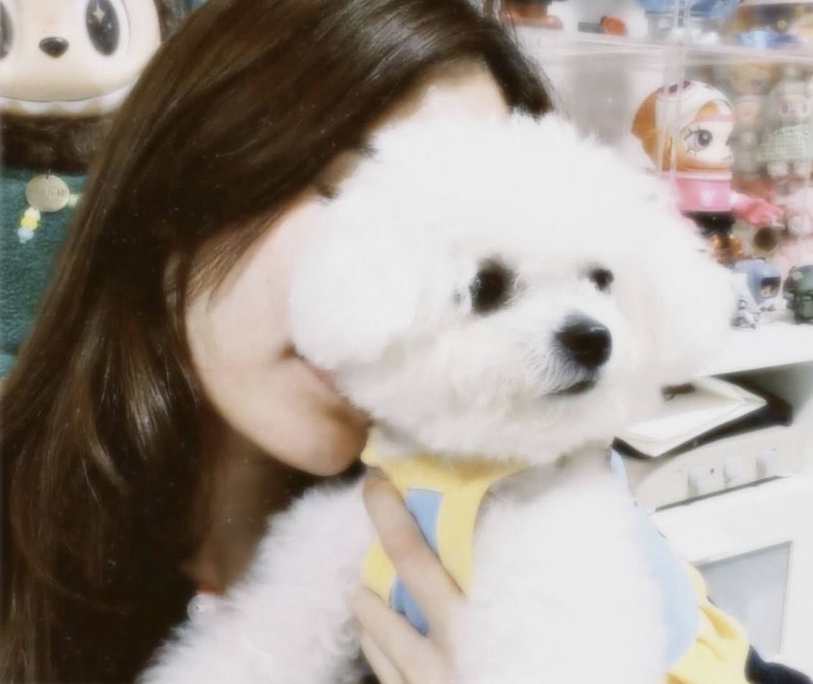 itsbubblesmiley's tweet photo. :: เต้าหู้เจอแม่ไม่ยิ้มเลย
ชล: เค้าเรียกยิ้มในใจ 

/เอ็นดูหม่าม๊าา55555555555 

#ชาล็อตออสติน
#CharlotteAustin https://t.co/o3gnOvYFng