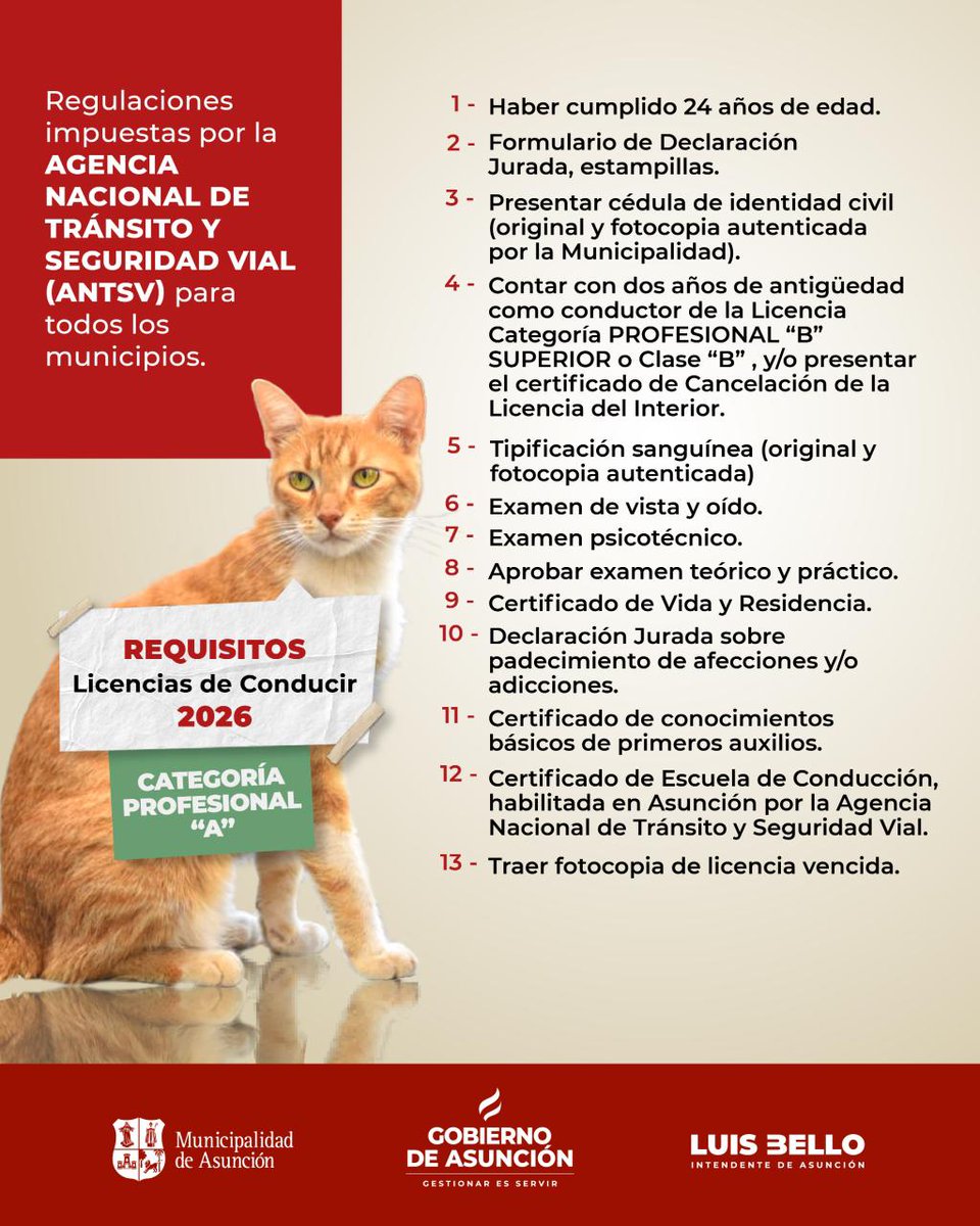 AsuncionMuni's tweet photo. #AsuInforma 
Si tenés que sacar tu licencia de conducir, te contamos cuáles son los requisitos que necesitás para solicitar las categorías:
🚌 A y A superior.
🚚 B y B superior.
Revisá la información y prepará todo lo necesario para realizar tu trámite. 👇 https://t.co/6r9HCBz6yL
