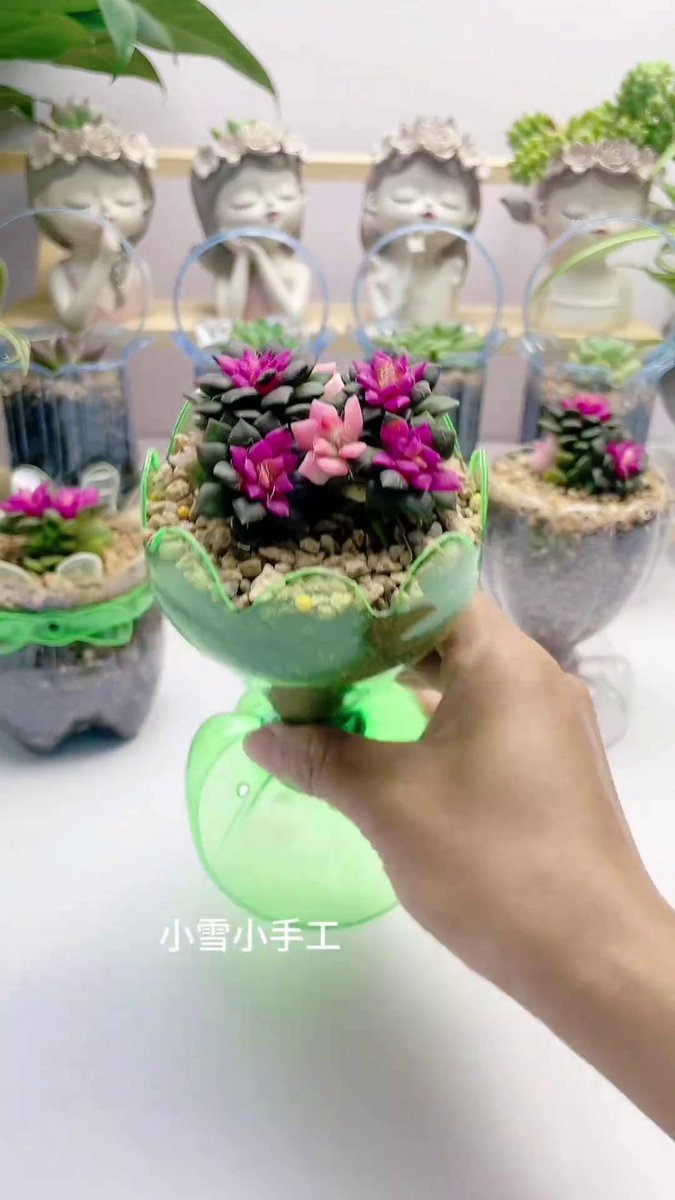 PenelopeBeofha's tweet photo. Reutilizo una botella de plástico vacía en una maceta linda para mis suculentas. （中文翻译：我把空塑料瓶改造成了一个可爱的多肉花盆）， https://t.co/wdKrsD8YLE