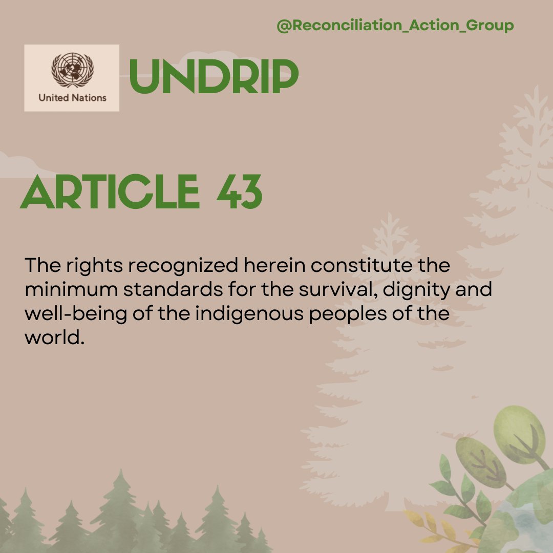 ReconciliACTgr's tweet photo. Sharing each Article from The United Nations Declaration on The Rights of Indigenous Peoples
UNDRIP Article 43
#UNDRIP #HumanRights #Indigenous #Canada https://t.co/LS4CQoZpkf
