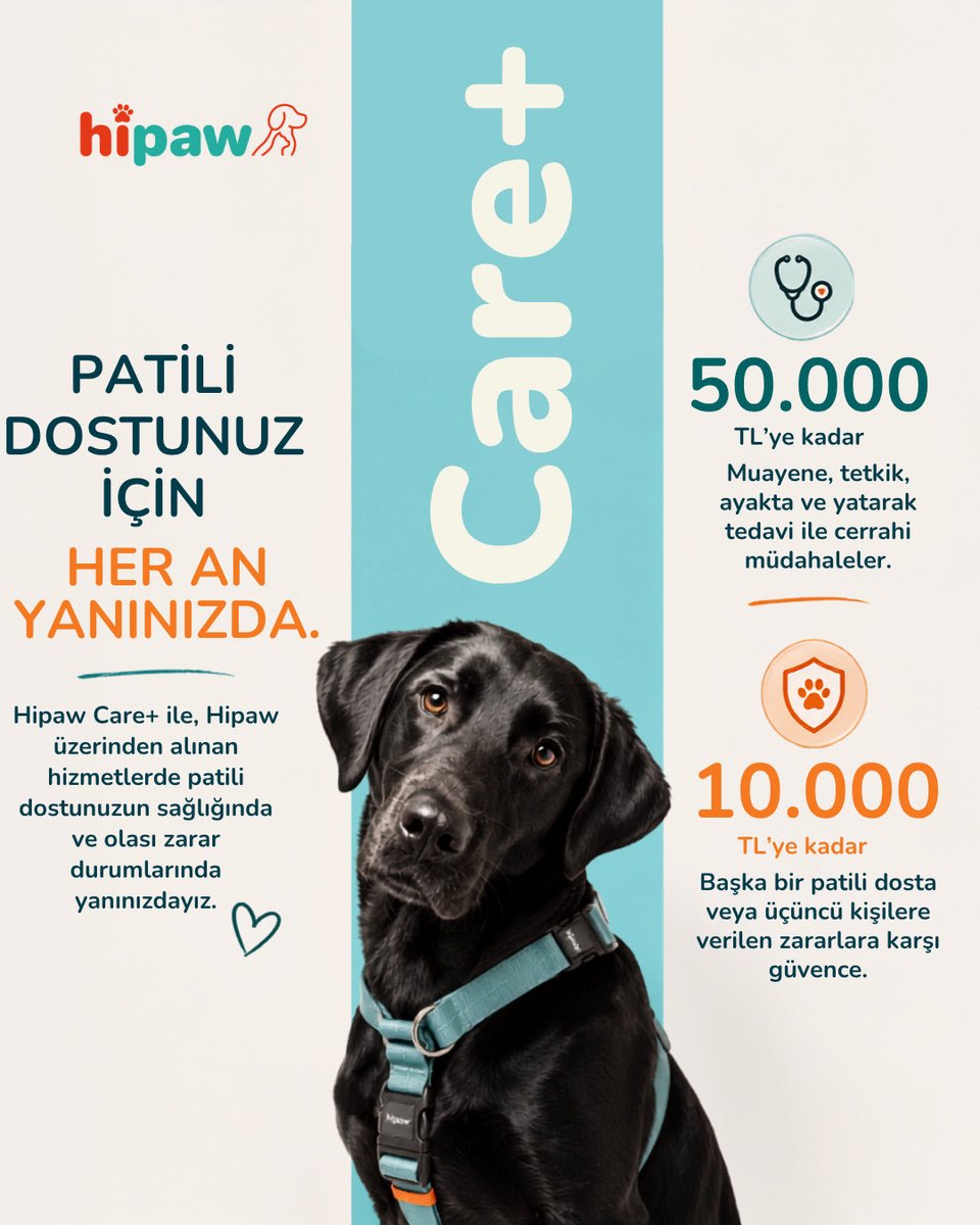 hipawglobal's tweet photo. Hipaw Care+ ile Hipaw üzerinden alınan hizmetlerde, beklenmedik durumlara karşı patili dostunuz ve çevreniz için ek bir güvence sunuyoruz.

Çünkü birlikte çıktığımız her yolculukta, sadece iyi anları değil, “ya bir şey olursa?”ları da düşünüyoruz.🛡️

Hipaw Care+ Patili dostunuz için daha güvenli bir deneyim.
