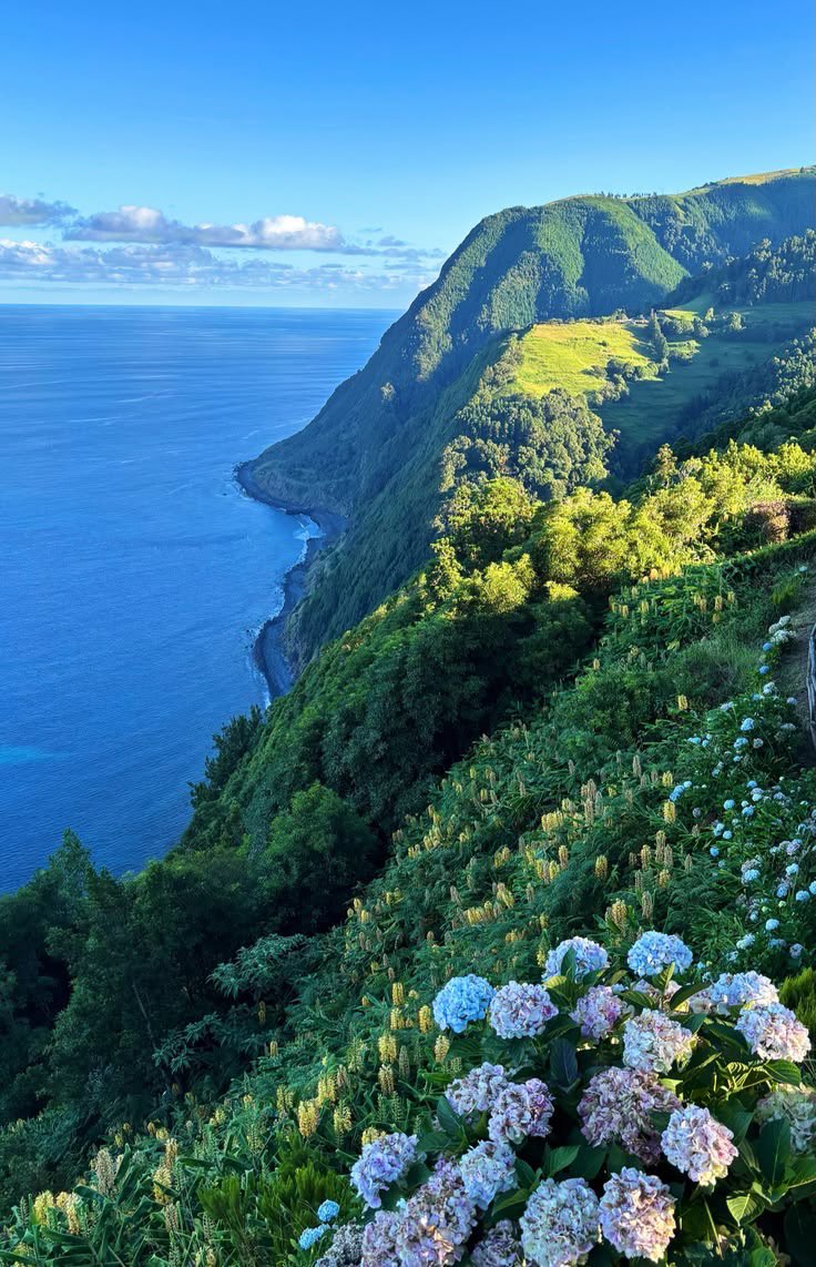 reminiscinbby's tweet photo. Azores, Portugal https://t.co/pw2yRBjMQF
