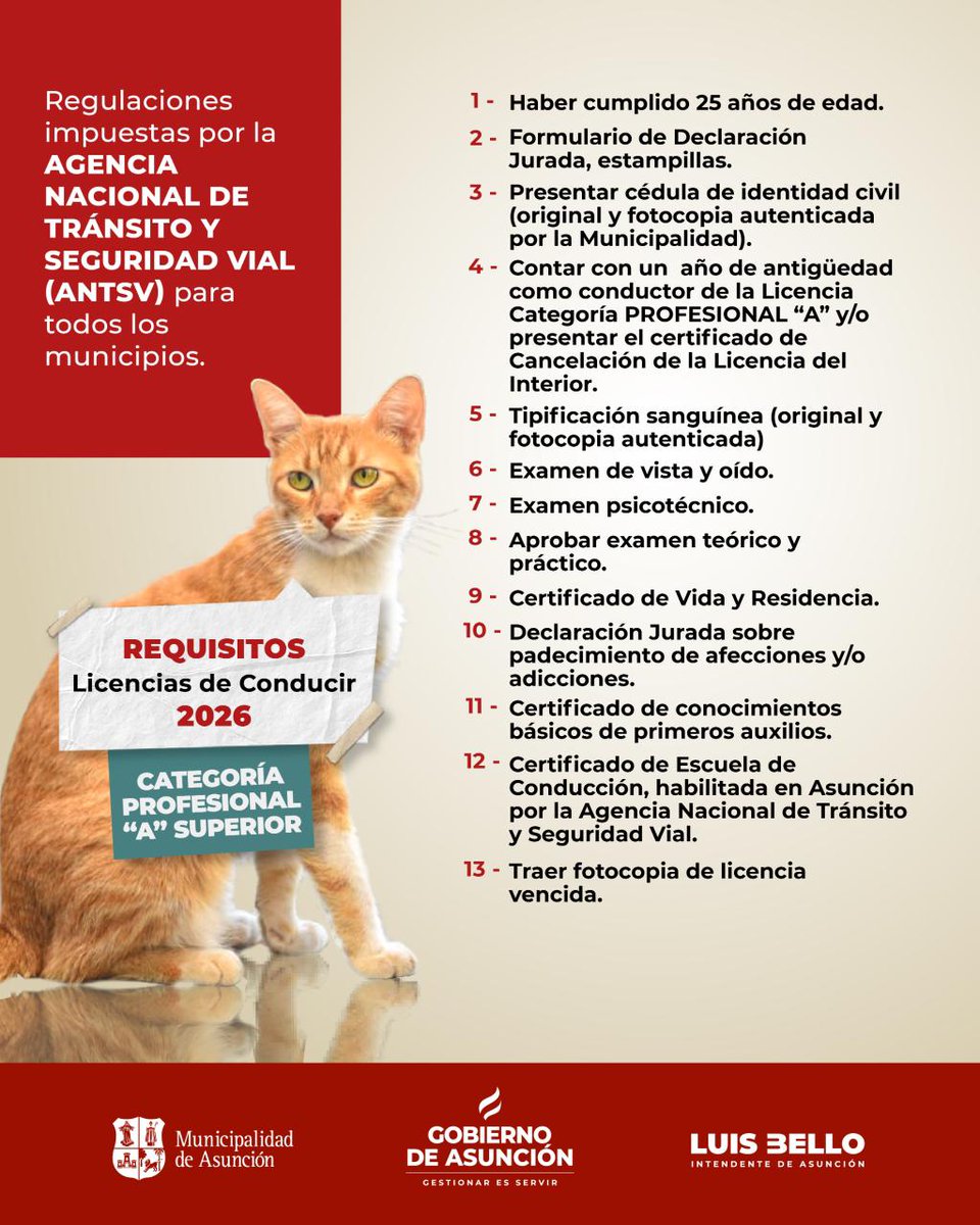 AsuncionMuni's tweet photo. #AsuInforma 
Si tenés que sacar tu licencia de conducir, te contamos cuáles son los requisitos que necesitás para solicitar las categorías:
🚌 A y A superior.
🚚 B y B superior.
Revisá la información y prepará todo lo necesario para realizar tu trámite. 👇 https://t.co/6r9HCBz6yL