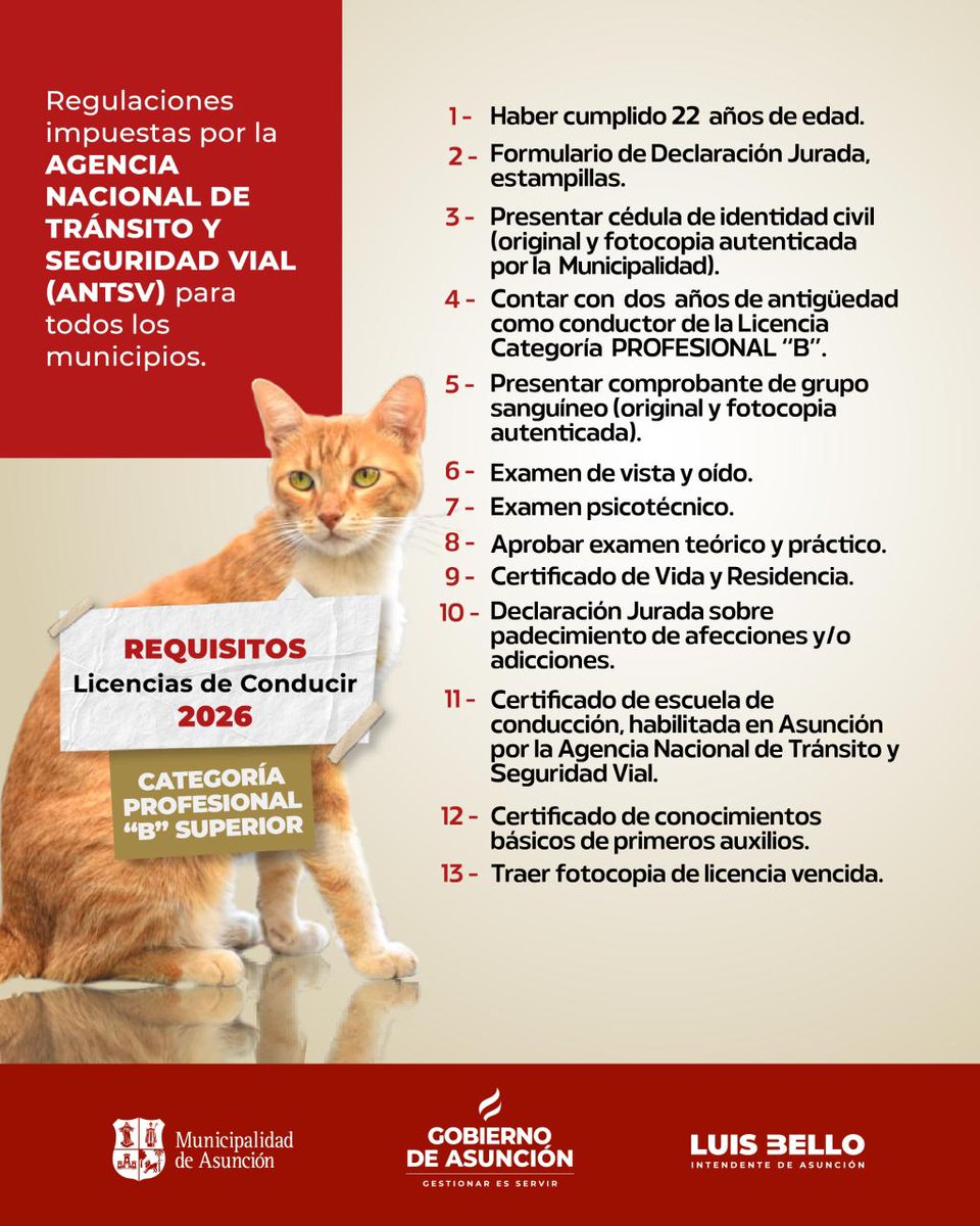 AsuncionMuni's tweet photo. #AsuInforma 
Si tenés que sacar tu licencia de conducir, te contamos cuáles son los requisitos que necesitás para solicitar las categorías:
🚌 A y A superior.
🚚 B y B superior.
Revisá la información y prepará todo lo necesario para realizar tu trámite. 👇 https://t.co/6r9HCBz6yL