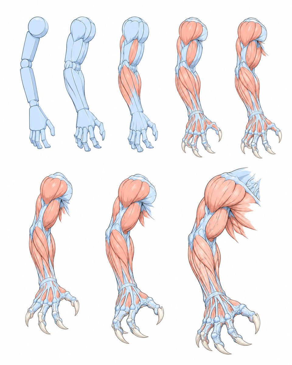 LumiCanvass's tweet photo. A strong silhouette starts with clear muscle groups https://t.co/tEr1vxWXEK