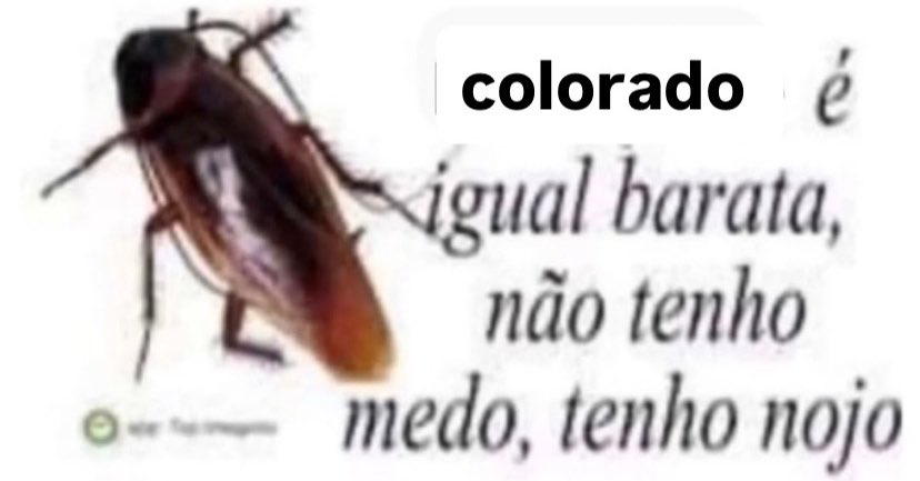 mwmriana's tweet photo. cada post desses merda que aparece na timeline fico assim, como pode uma torcida ser coletivamente tao ARROMBADA https://t.co/SSLYnLJL0I