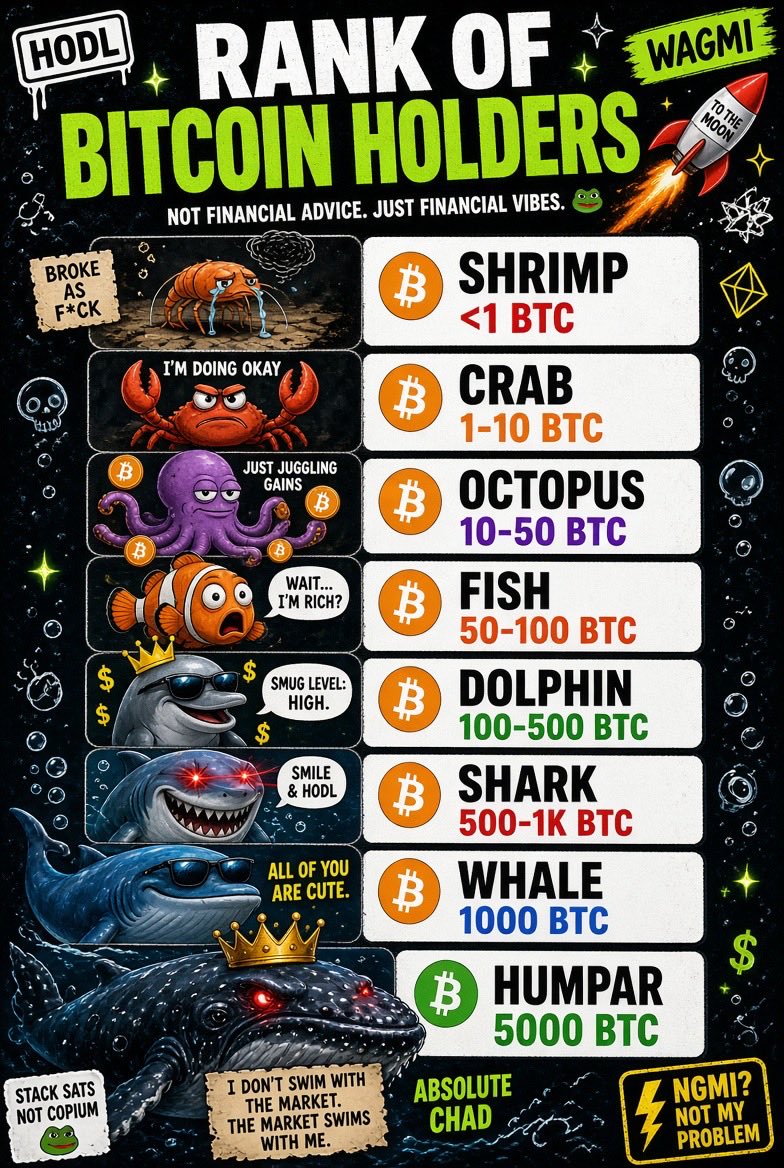satoshi_btcb's tweet photo. Fun fact : Did you know these are the names to address the btc holders? https://t.co/RwH2WlsGg9