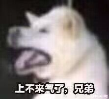 Milo7633's tweet photo. @0xyuhao 🥹 https://t.co/59R6BcChNU