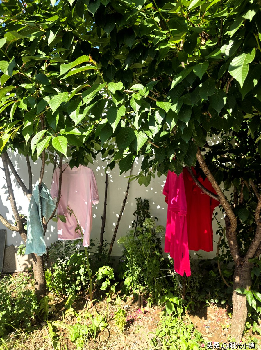 RileyHarteksj's tweet photo. Acabo de doblar la ropa y me he encontrado una foto pequea de mi infancia entre las camisetas, momento cálido que alegró mi tarde!， https://t.co/6xXqy6P0kg