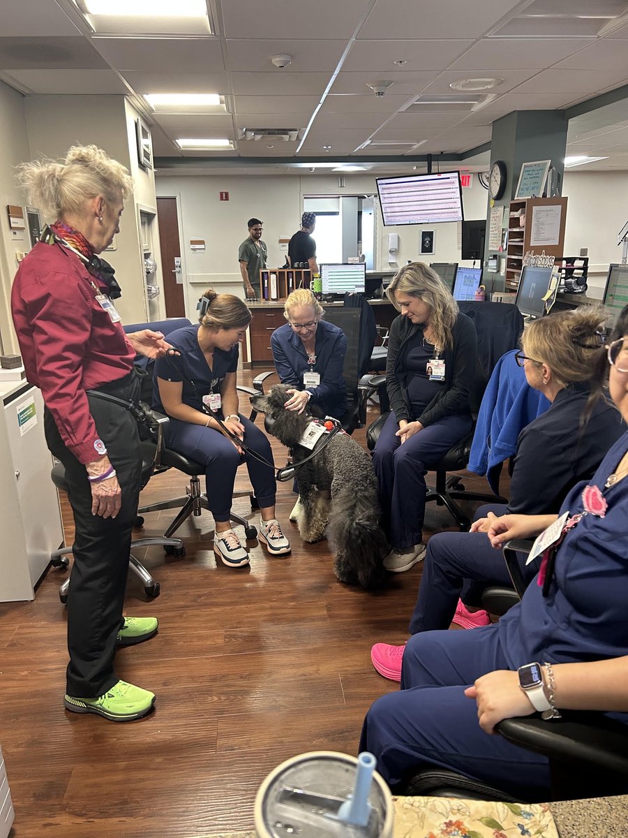 cshbrazosvalley's tweet photo. 🐾 Our team at College Station Hospital was thrilled to spend some time to recharge with Gaston the Therapy Dog! Therapy animals provide such incredible support for our staff, and we’re so grateful for this sweet visit.

#Hellohumankindness #PetTherapy https://t.co/F8DOXlEUII