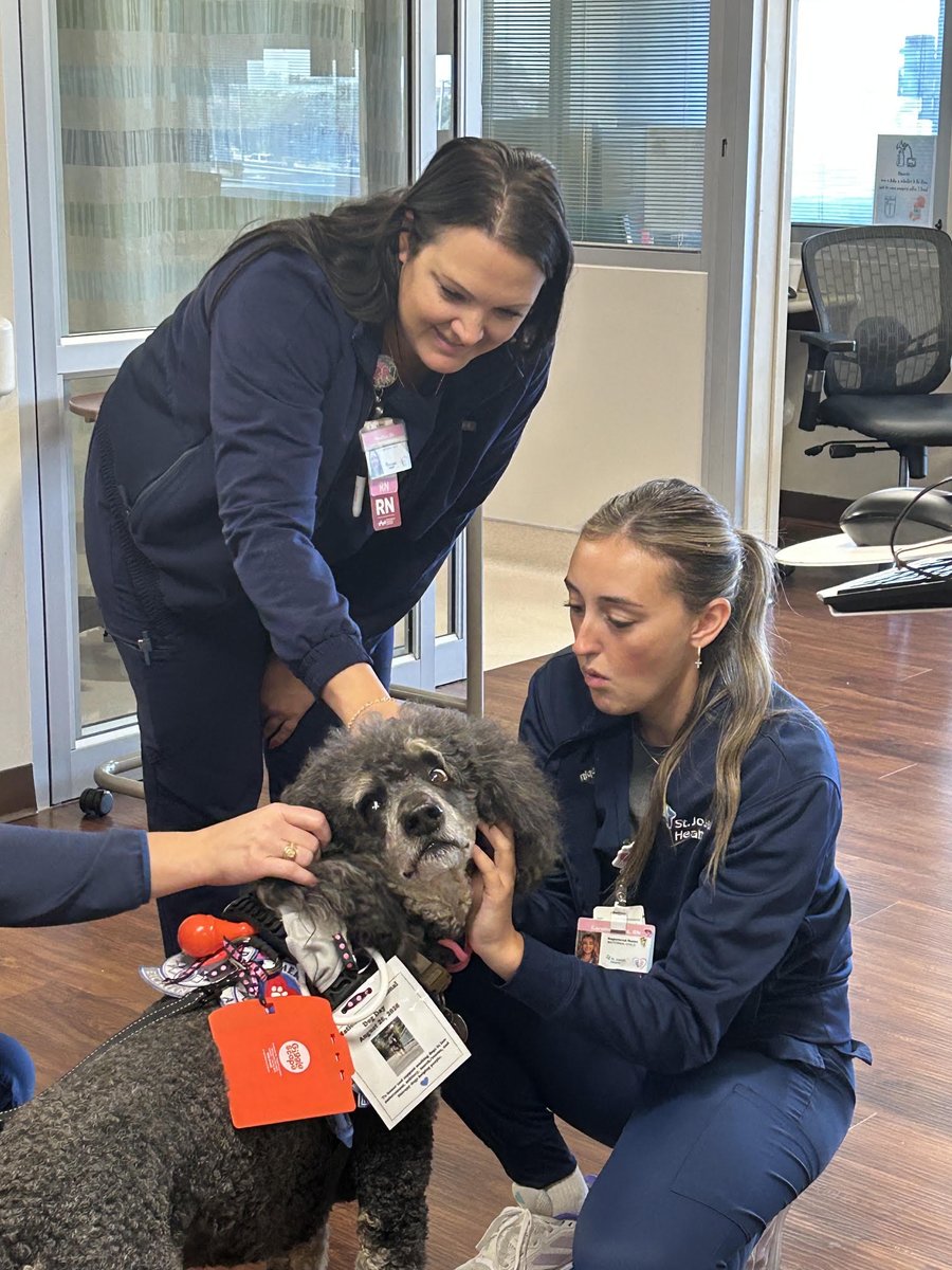 cshbrazosvalley's tweet photo. 🐾 Our team at College Station Hospital was thrilled to spend some time to recharge with Gaston the Therapy Dog! Therapy animals provide such incredible support for our staff, and we’re so grateful for this sweet visit.

#Hellohumankindness #PetTherapy https://t.co/F8DOXlEUII