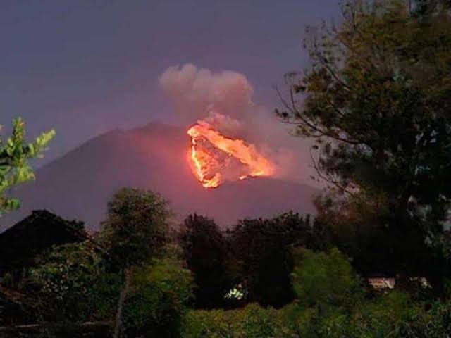 indepenSumatera's tweet photo. BANYUWANGI DARURAT! 

KARHUTLA GUNUNG MERAPI MEREMBET KE KAWASAN GUNUNG IJEN! 

Kebakaran hutan dan lahan  skala besar yang awalnya melalap kawasan hutan Gunung Merapi (Ungup-Ungup), Banyuwangi, makin tidak terkendali! Kobaran api dilaporkan makin meluas hingga merembet ke vegetasi lereng kawasan cagar alam dan Taman TWA Gunung Ijen!

Kondisi di lapangan saat ini benar-benar kritis dan mencekam:

API CEPAT MEMBESAR & SUSAH PADAM: Angin kencang di dataran tinggi ditambah vegetasi kering akibat kemarau bikin kobaran api dengan cepat menjalar dari titik lereng Merapi ke arah kawasan Ijen.

ANCAMAN KABUT ASAP & GAS BERACUN
Selain merusak ekosistem hutan dan habitat satwa endemik, titik api yang makin mendekati jalur pendakian berisiko memicu paparan asap pekat yang bercampur dengan potensi gas vulkanik.

JALUR PENDAKIAN & WISATA WAJIB WASPADA
Situasi ini memicu desakan darurat agar seluruh aktivitas warga, penambang belerang, hingga wisatawan di sekitar TWA Kawah Ijen ditutup total demi keselamatan jiwa!

MEDAN EXTREME BIKIN PETUGAS KEWALAHAN
Personel gabungan Tim Reaksi Cepat (TRC), BPBD, BKSDA, Perhutani, hingga relawan lokal terus berjibaku di lapangan. Namun, curamnya tebing dan terbatasnya sumber air membuat upaya pemadaman secara manual mengalami kendala sangat berat!

Pertanyaannya sekarang
Sampai kapan penanganan karhutla di kawasan konservasi vital seperti ini selalu terkesan melambat sampai apinya membesar dulu? Butuh berapa hektar hutan Lindung yang hangus baru armada helikopter Water Bombing diturunkan secara masif?!