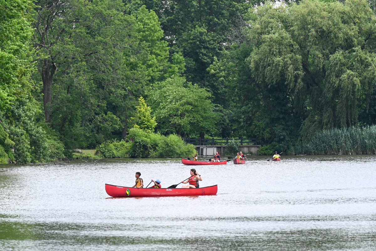 Folks kayak in a lake in the park.