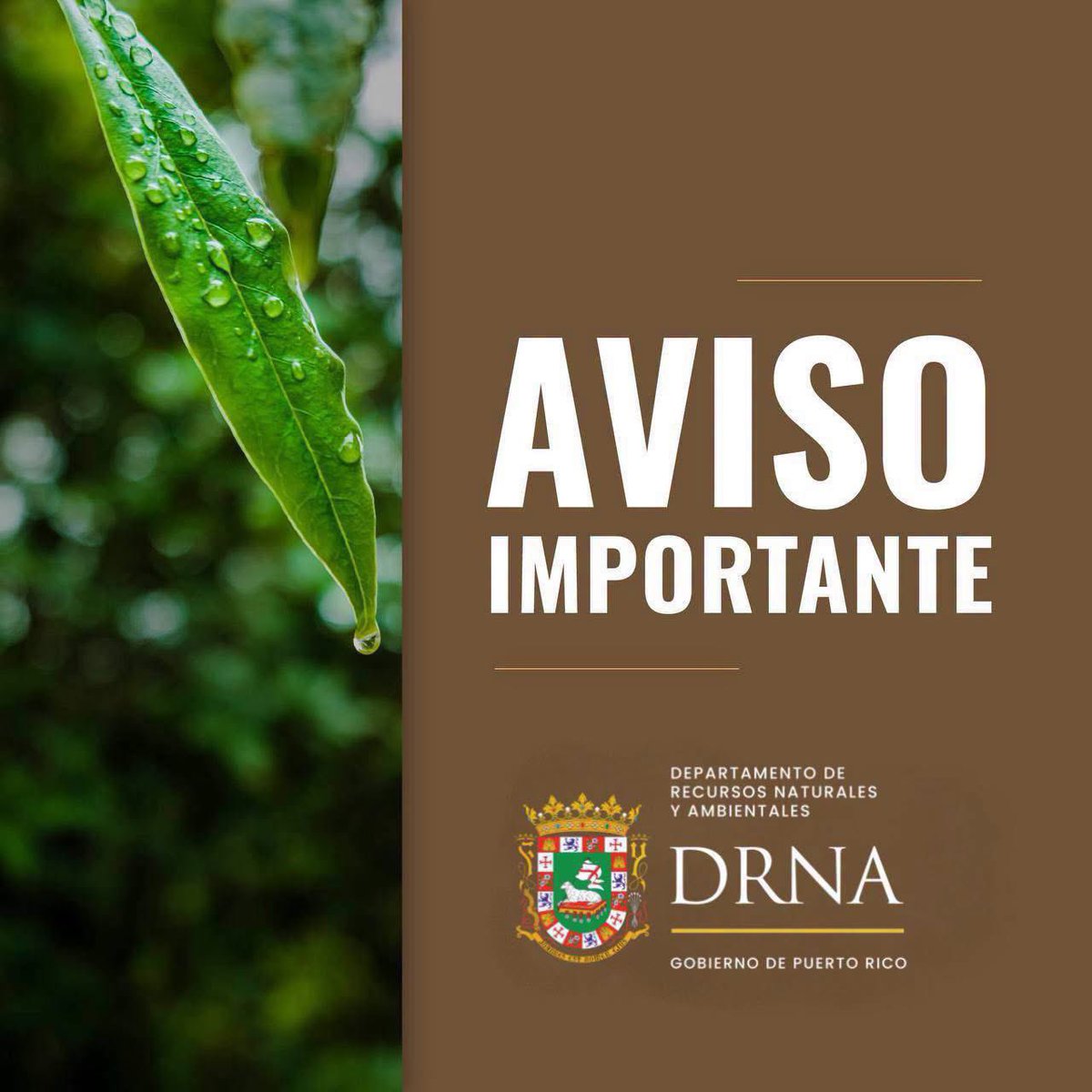 DRNAGPR's tweet photo. El DRNA anuncia la publicación del RFP 2026-001, para la contratación de servicios profesionales de manejo de proyectos y subvenciones dirigidos a apoyar la ejecución de proyectos de infraestructura para el manejo de desperdicios sólidos.

Info 🔗 https://t.co/yUhixSfa23 https://t.co/uiM4IBalbv
