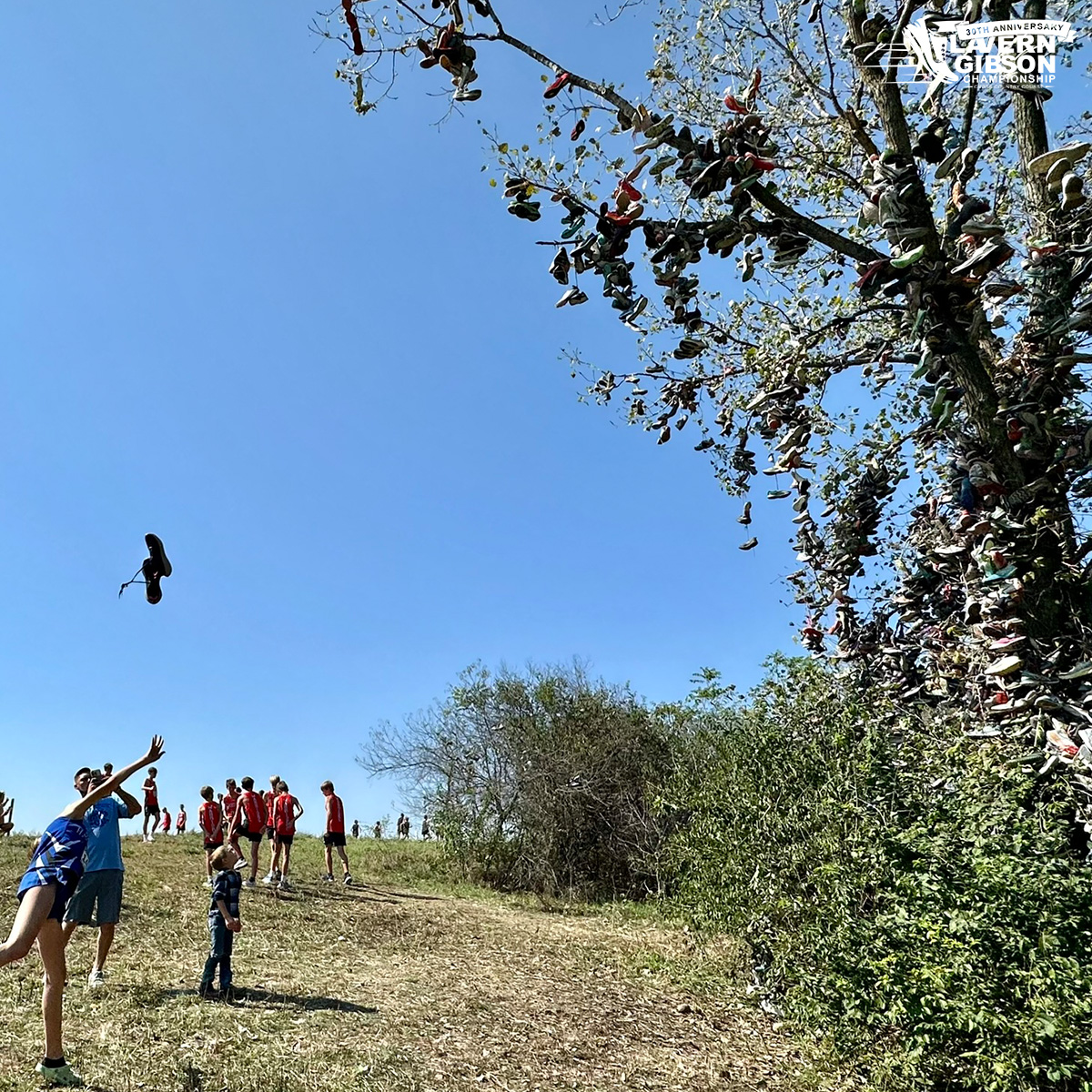 IndStXCTF's tweet photo. Every shoe tells a story 👟

This tradition has become one of the most iconic sights at @lavern_gibsonXC 🌲

#MarchOn | #StayRooted | #NCAAXC https://t.co/creHRmcBGX