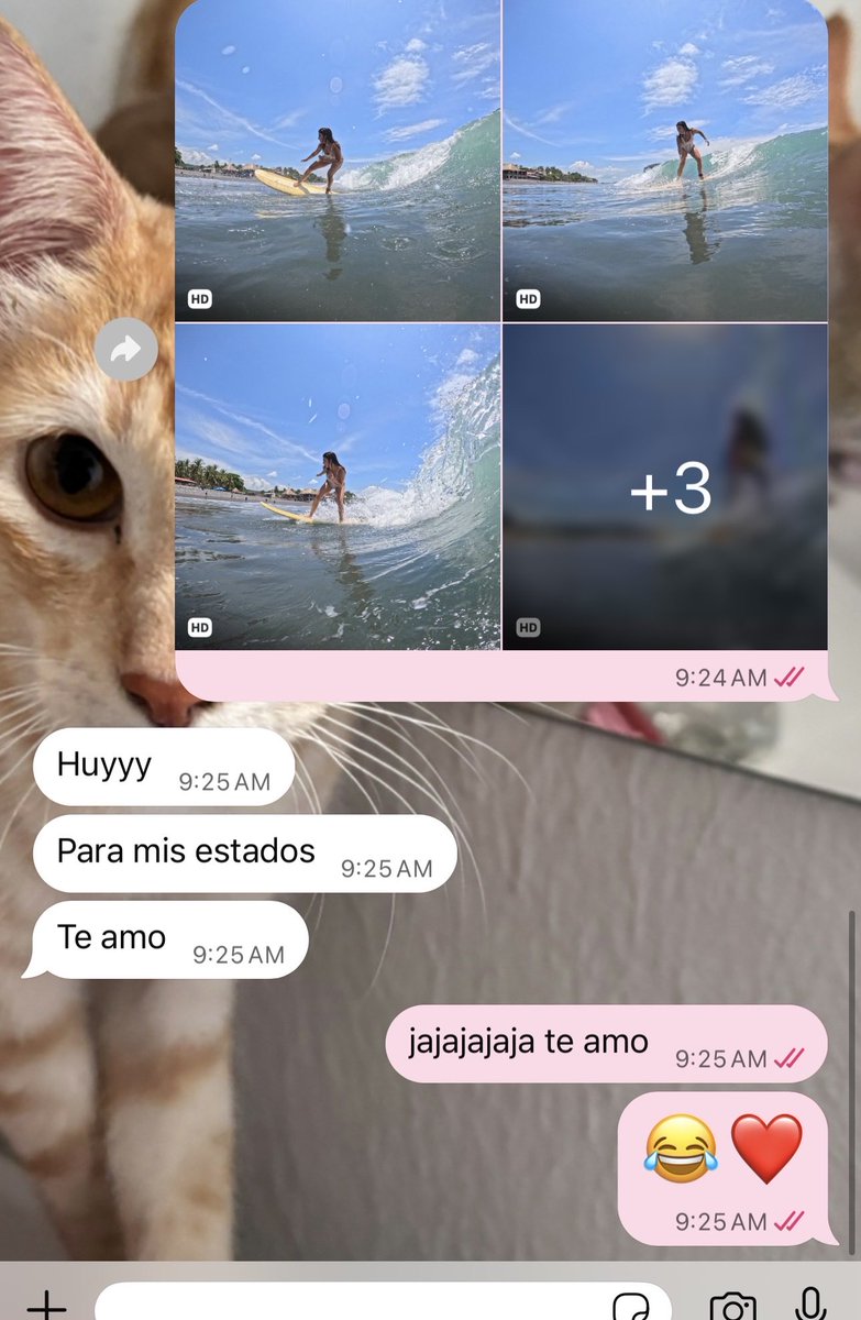 alexxaa86's tweet photo. le envío fotos mías surfeando a mi madre y ella bien orgullosa. nadie nunca te va a amar como tu mamá 🥹❤️ https://t.co/rbliViMcVw