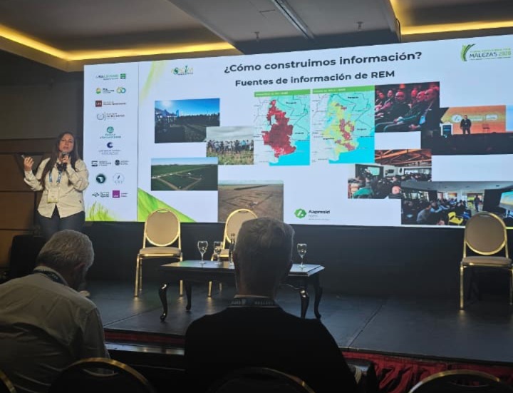 aapresid's tweet photo. Estuvimos presentes en el Congreso @ASACIM_Malezas  2026 con  nuestro Programa REM, representado por Eugenia Niccia, quien presentó "Resistencia a herbicidas en Argentina: Monitoreo y generación de información desde REM-Aapresid".

Durante la jornada, compartimos la trayectoria del programa en la generación de datos clave y actualizaciones estratégicas sobre el mapeo de malezas problema, reafirmando nuestro compromiso con la generación del conocimiento y el desarrollo de soluciones sustentables para el sistema productivo argentino. 💪🏼🇦🇷