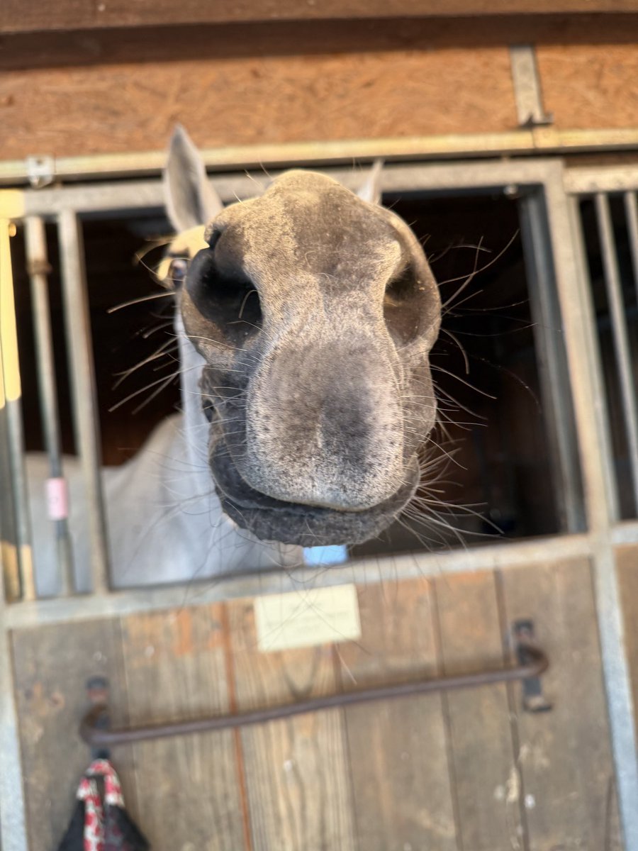 manubaechler's tweet photo. @FOBRacing Hi 😁 https://t.co/fGCtQCcW4B