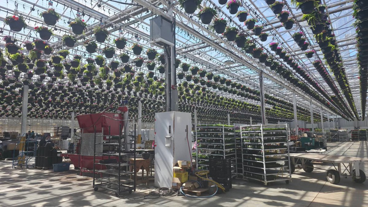 hailu13994's tweet photo. Utility-scale solar farms, solar home systems (SHS), mini-grids for rural electrification, and commercial solar installations. 

#InvestinEthiopia #EthiopiaRenewableEnergy #GreenGrowthEthiopia https://t.co/m5CTvsdeUL